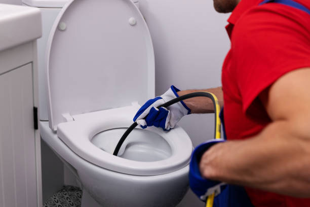 Best Best Plumbers Near Me  in Sauk Vlage, IL