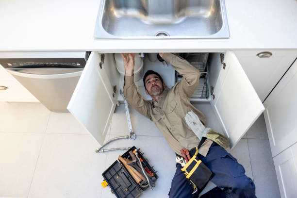 Best Emergency Plumbing Repair  in Sauk Vlage, IL