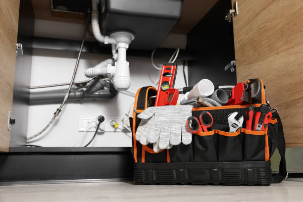 Best Toilet Repair Services  in Sauk Vlage, IL