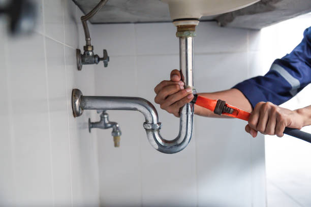 Best Residential Plumbing Services  in Sauk Vlage, IL