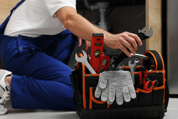Best Shower Repair Services  in Sauk Vlage, IL