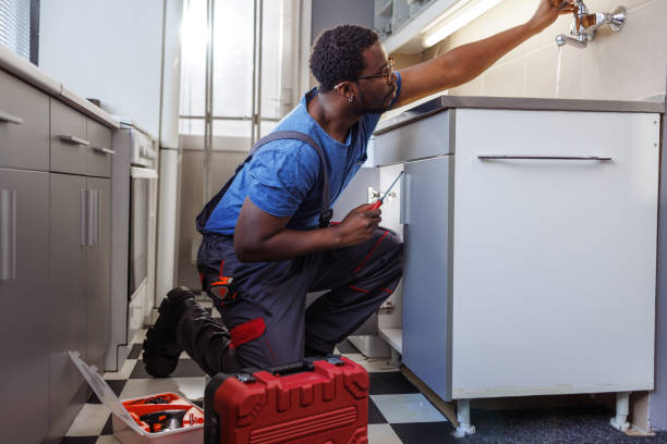 Best Same-Day Plumbing Service  in Sauk Vlage, IL