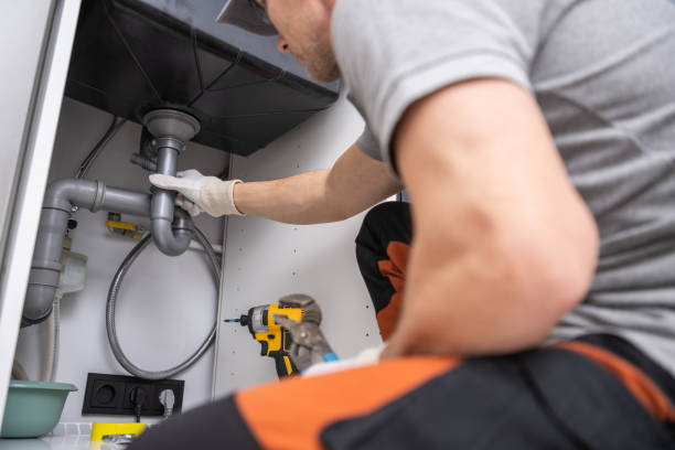 Best Clogged Drain Plumber  in Sauk Vlage, IL