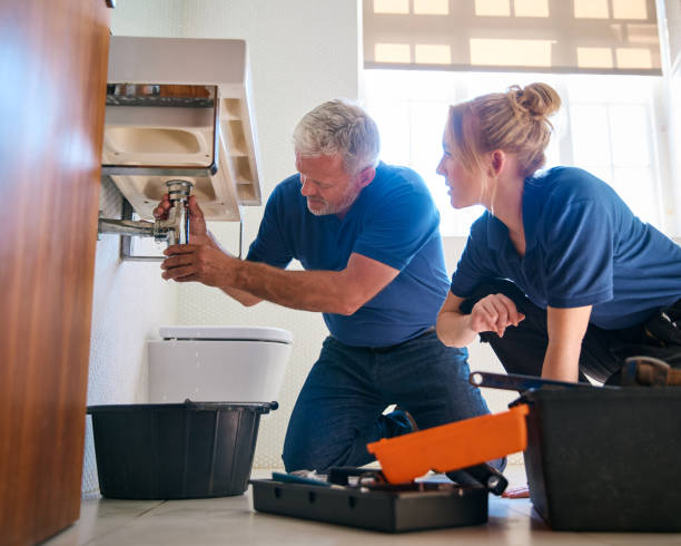 Best Sprinkler Systems  in Sauk Vlage, IL